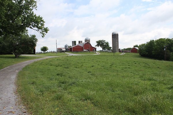 STRASSER FARM - SUMMER