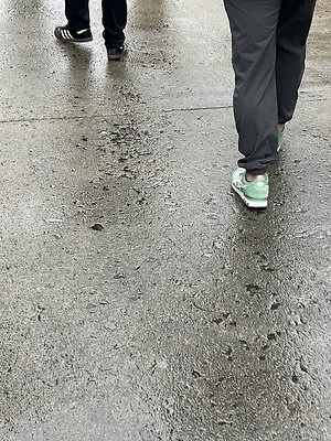 IMG 1380 2 IMG 1380 2