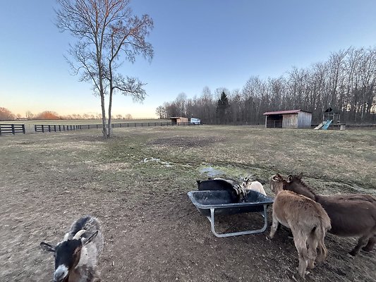  5290E786-ABBF-440A-8B7A-3986FAD0A8E4