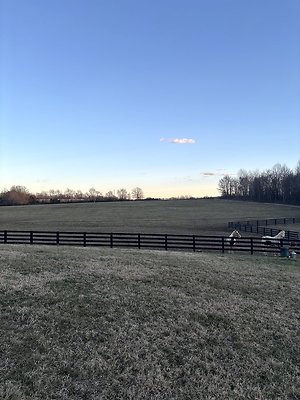  9A31AF28-956A-45A2-94AC-4F8E3AD9EC0A