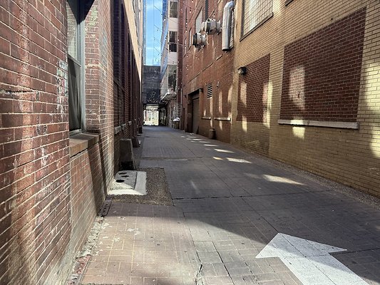 ALLEY OFF PRINTERS ALLEY BETWEEN CHURCH &amp; COMMERCE ST